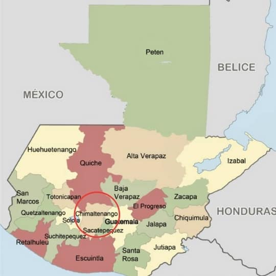 Semillas para reforestar