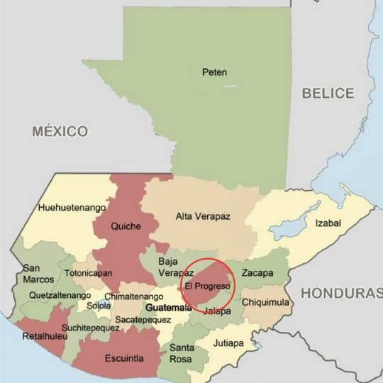 Semillas para reforestar El progreso