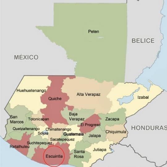 Semillas para reforestar