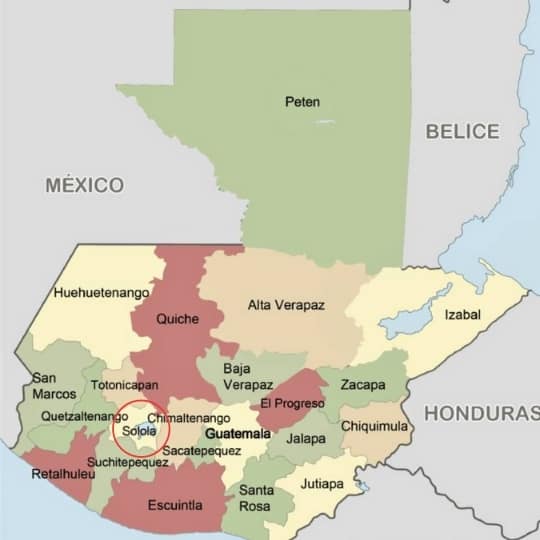 Semillas para reforestar Sololá