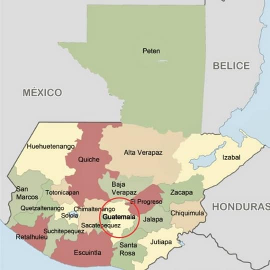 Semillas para reforestar Guatemala
