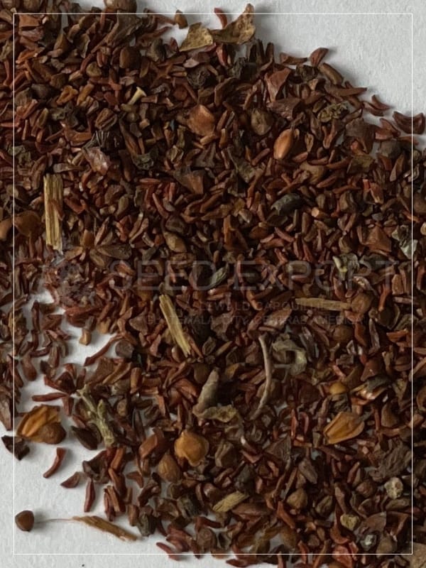 Semilla de Eucalipto Robusta - Image 2