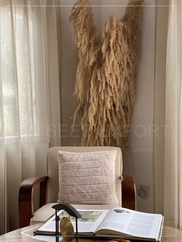 Giant Pampas Plumes Giant Pampas Plumes Decoración