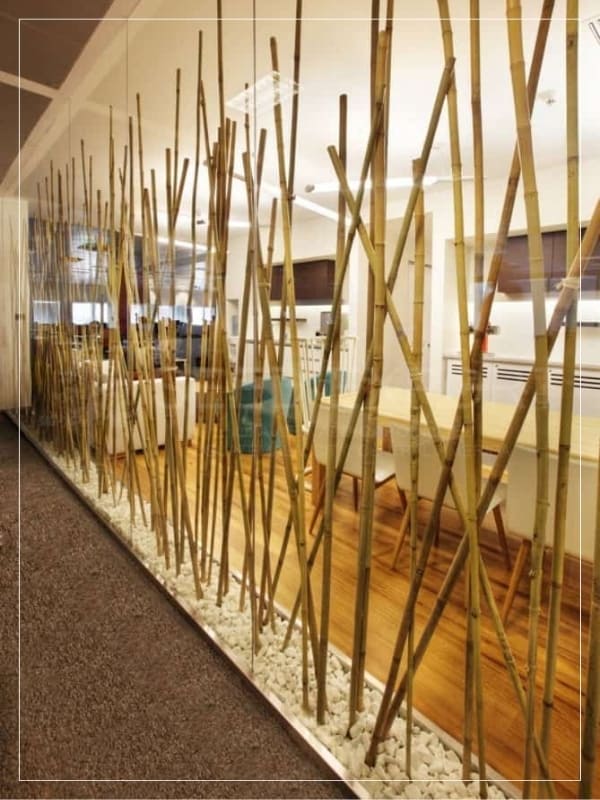 River cane decoration